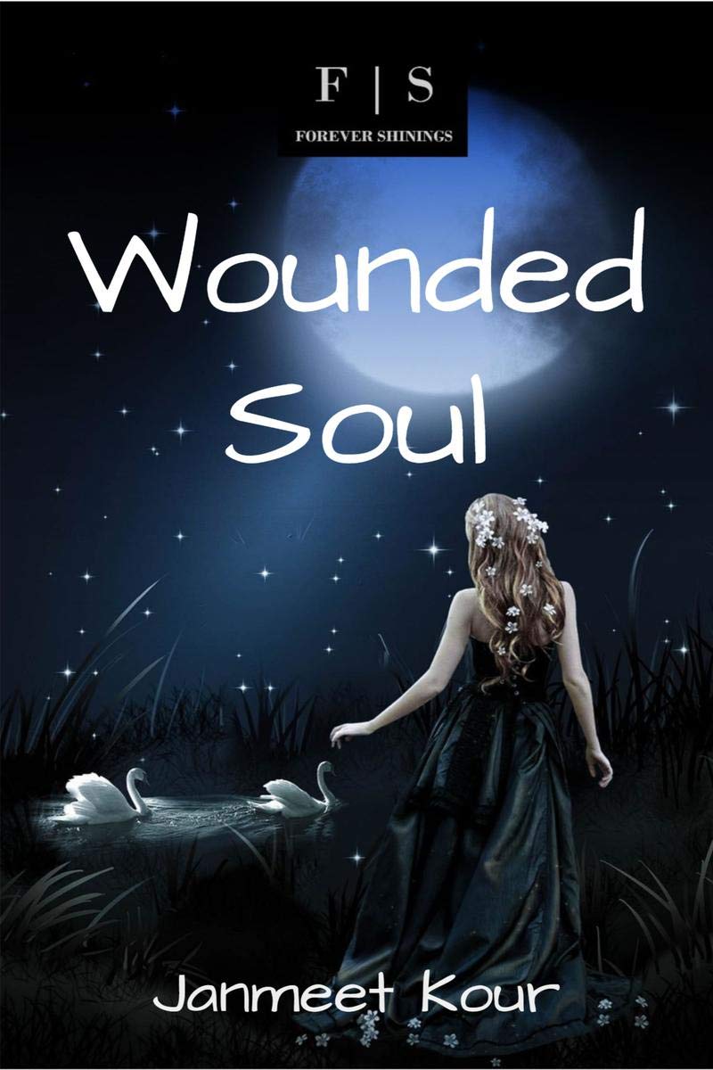 Wounded Soul book cover